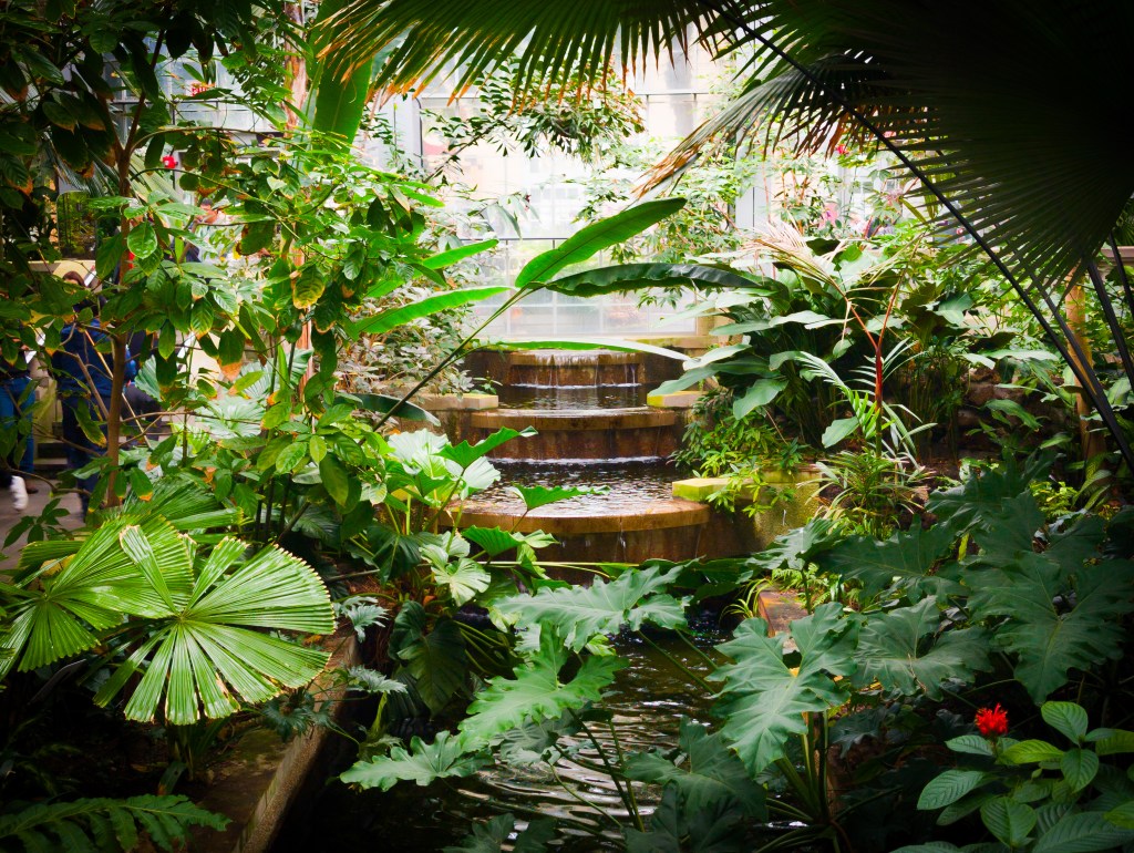 U.S. Botanical Gardens | Washington, D.C.