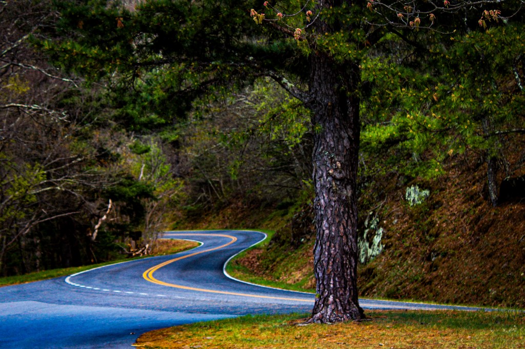 Skyline Drive | Afton,&nbsp;VA